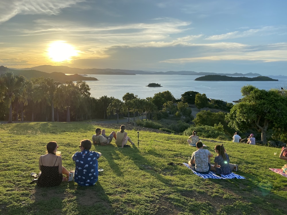 people sitting on green grass field near green trees during daytime