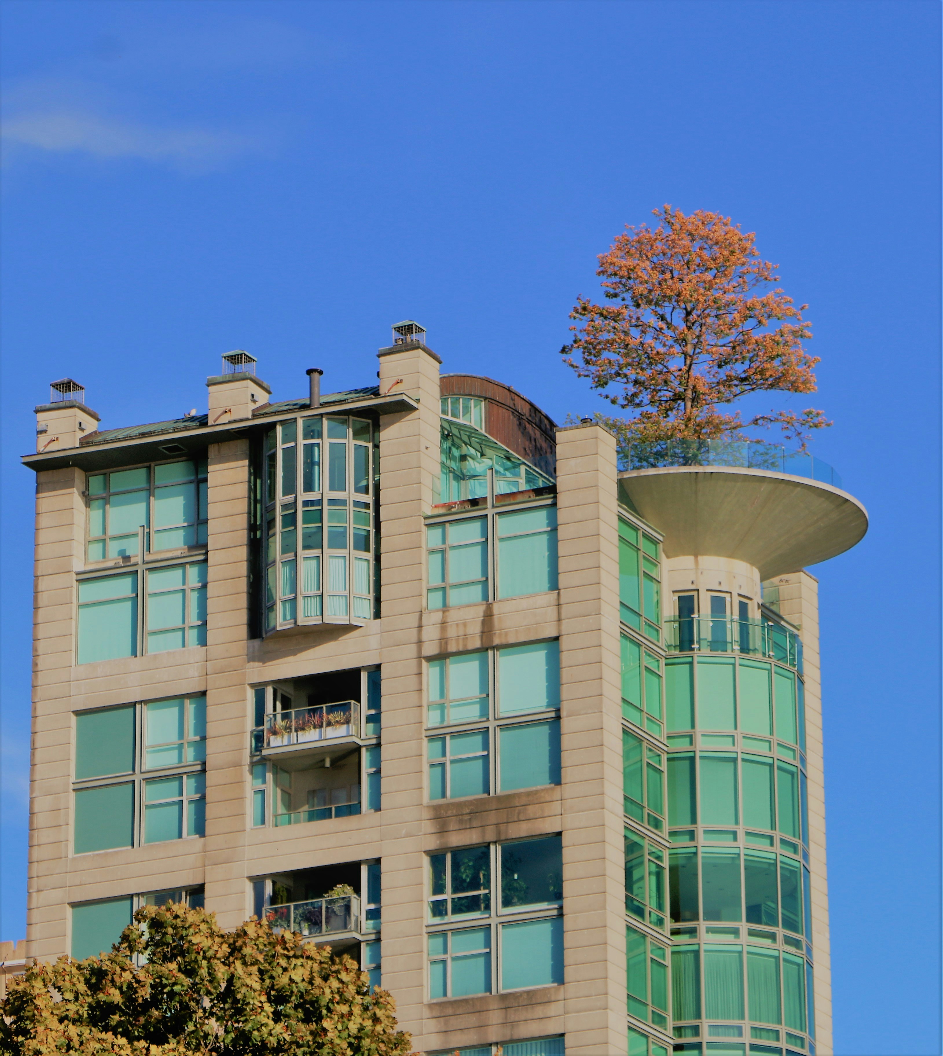 blue and white concrete building