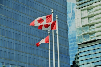 flag of us a on pole