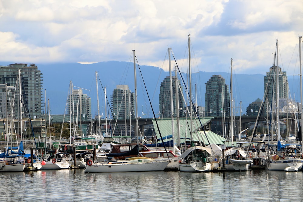 white sail boats on sea during daytime