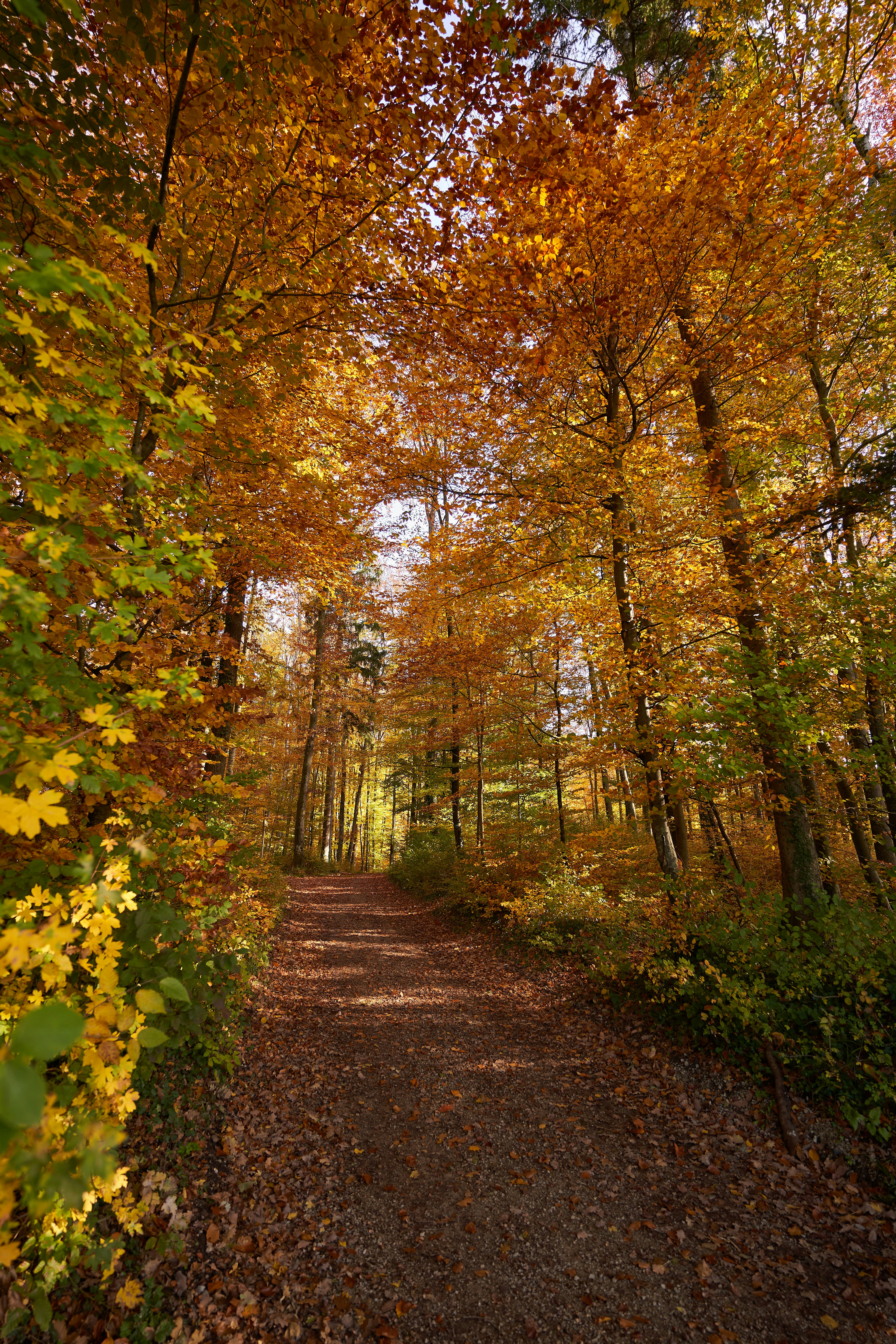 Photo by wolfgang_hasselmann