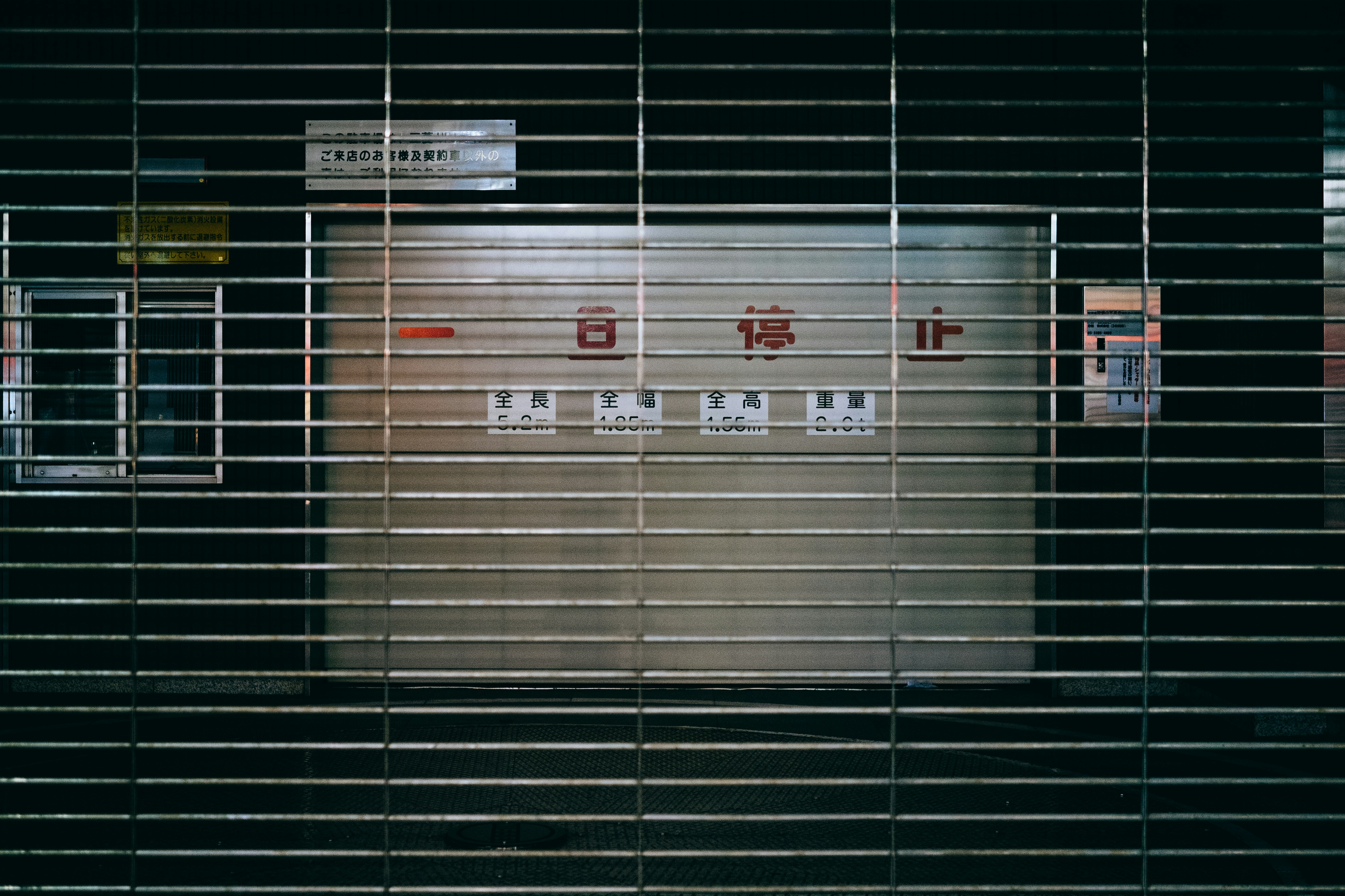 Photo by paracetamol