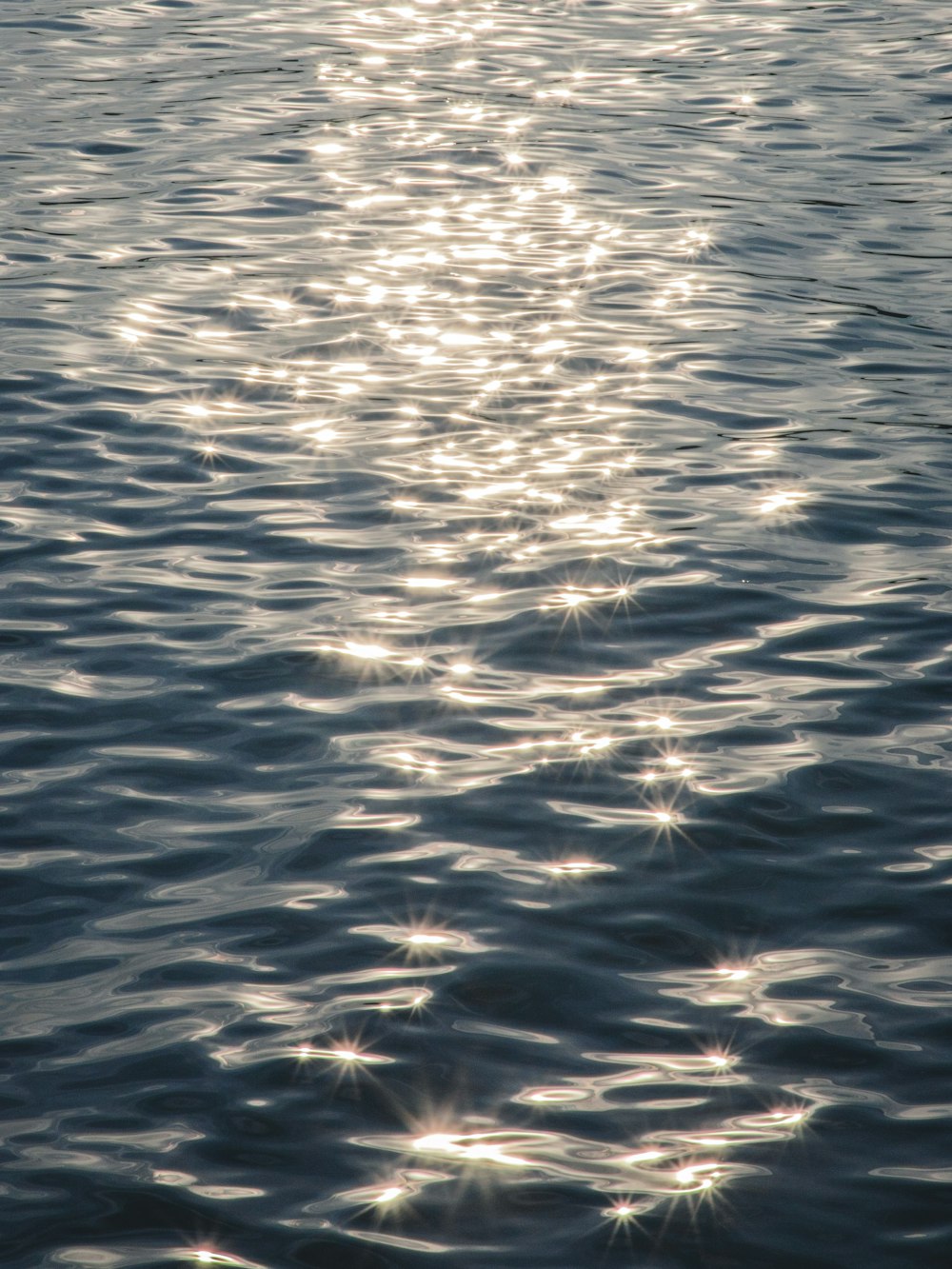 body of water during daytime