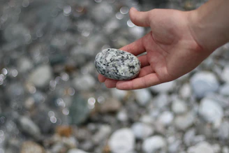 white and gray stone on persons hand