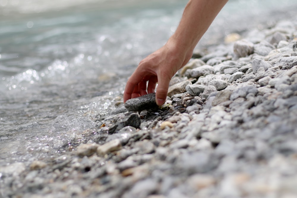 person standing on rocky shore during daytime