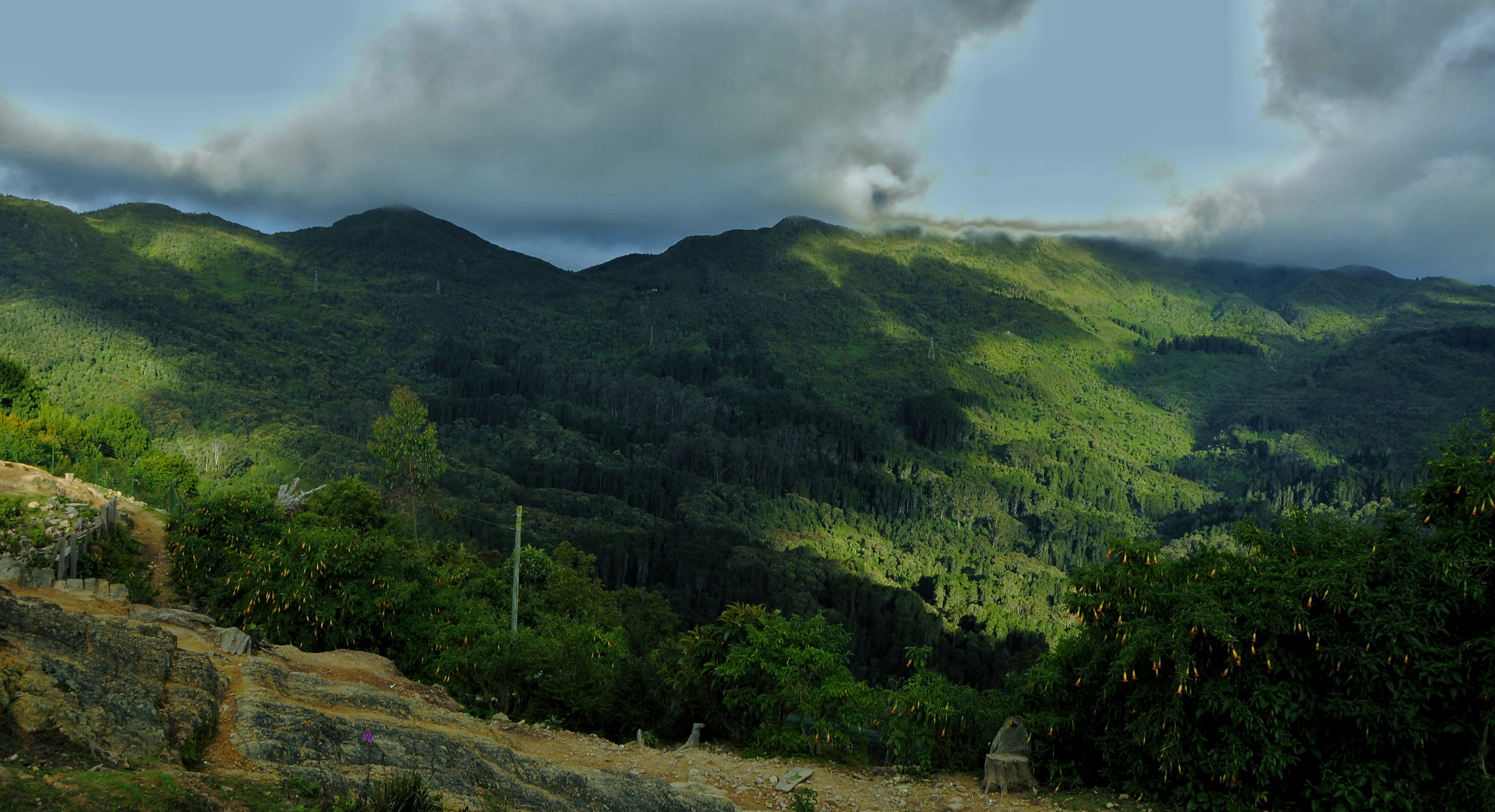 Photo by faberleonardo