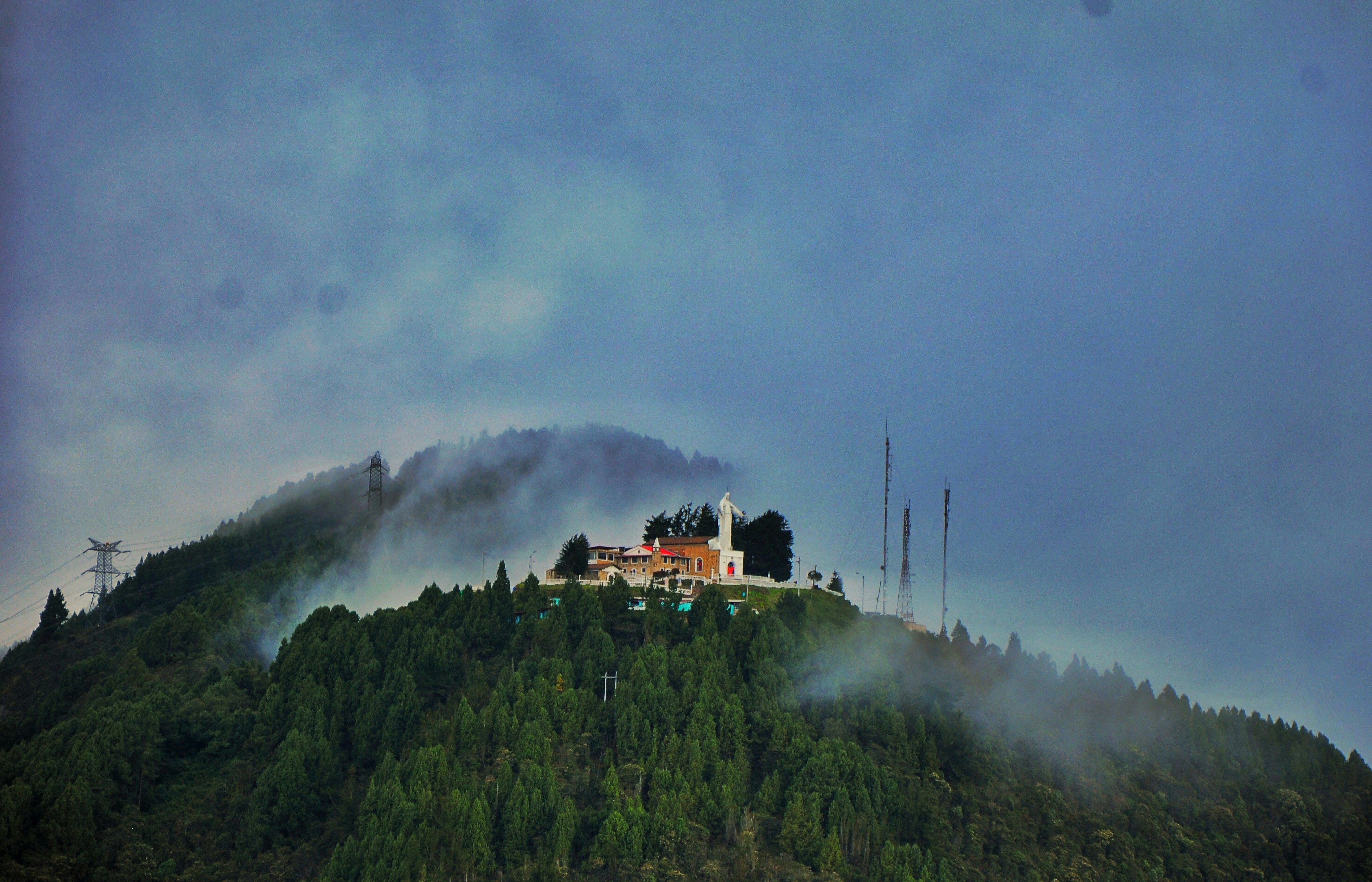 red and black train on green grass field