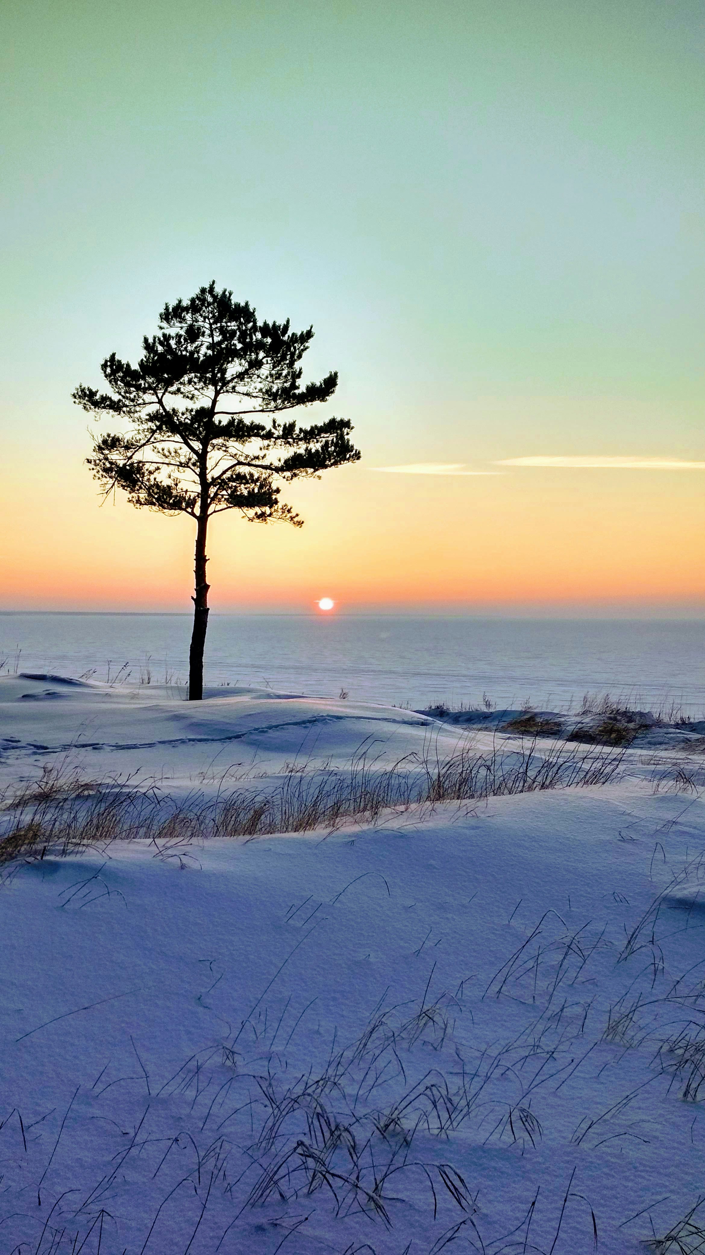 Photo by 28081995_love