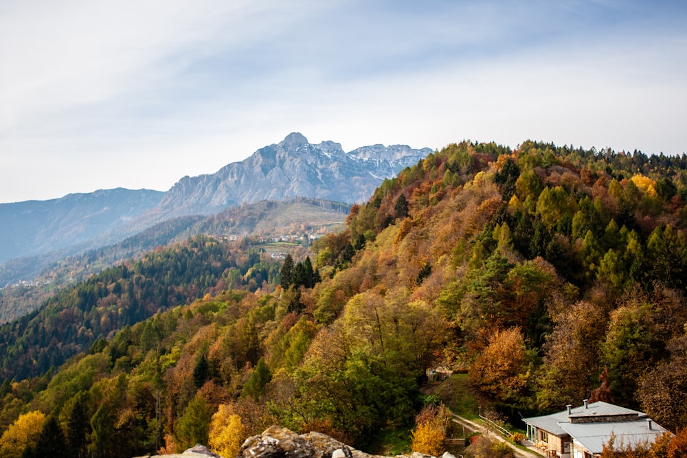 green and brown trees on mountain under white clouds during daytime