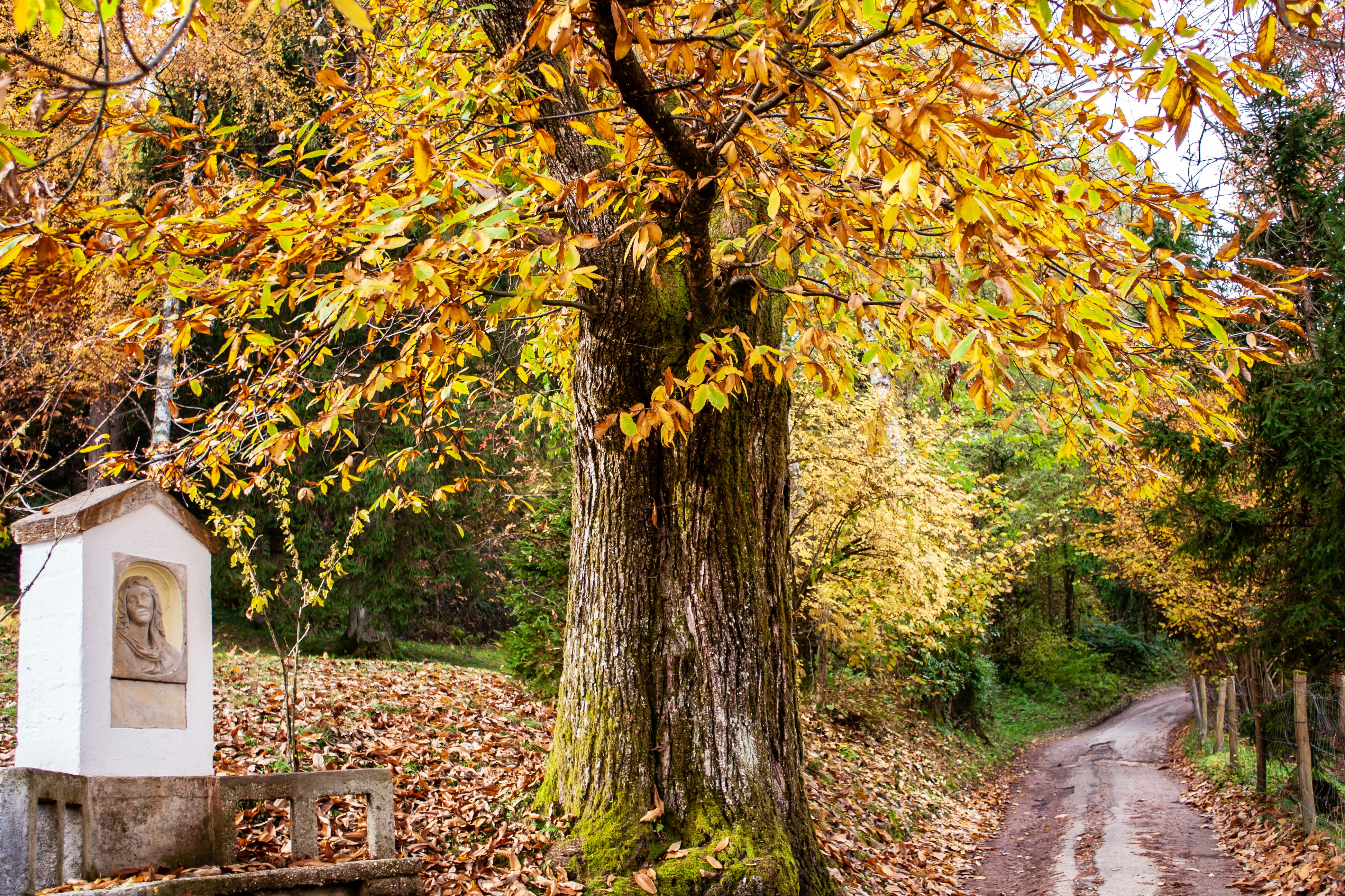 Photo by photoroutes