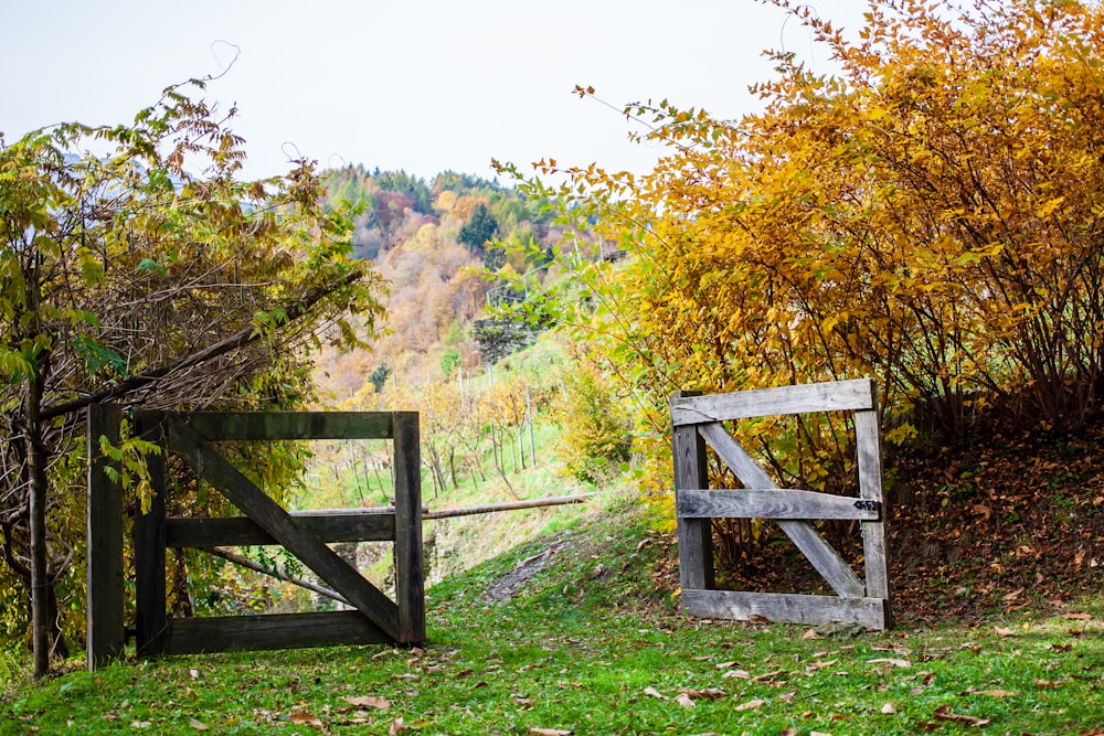 brown wooden fence on green grass field near green trees during daytime