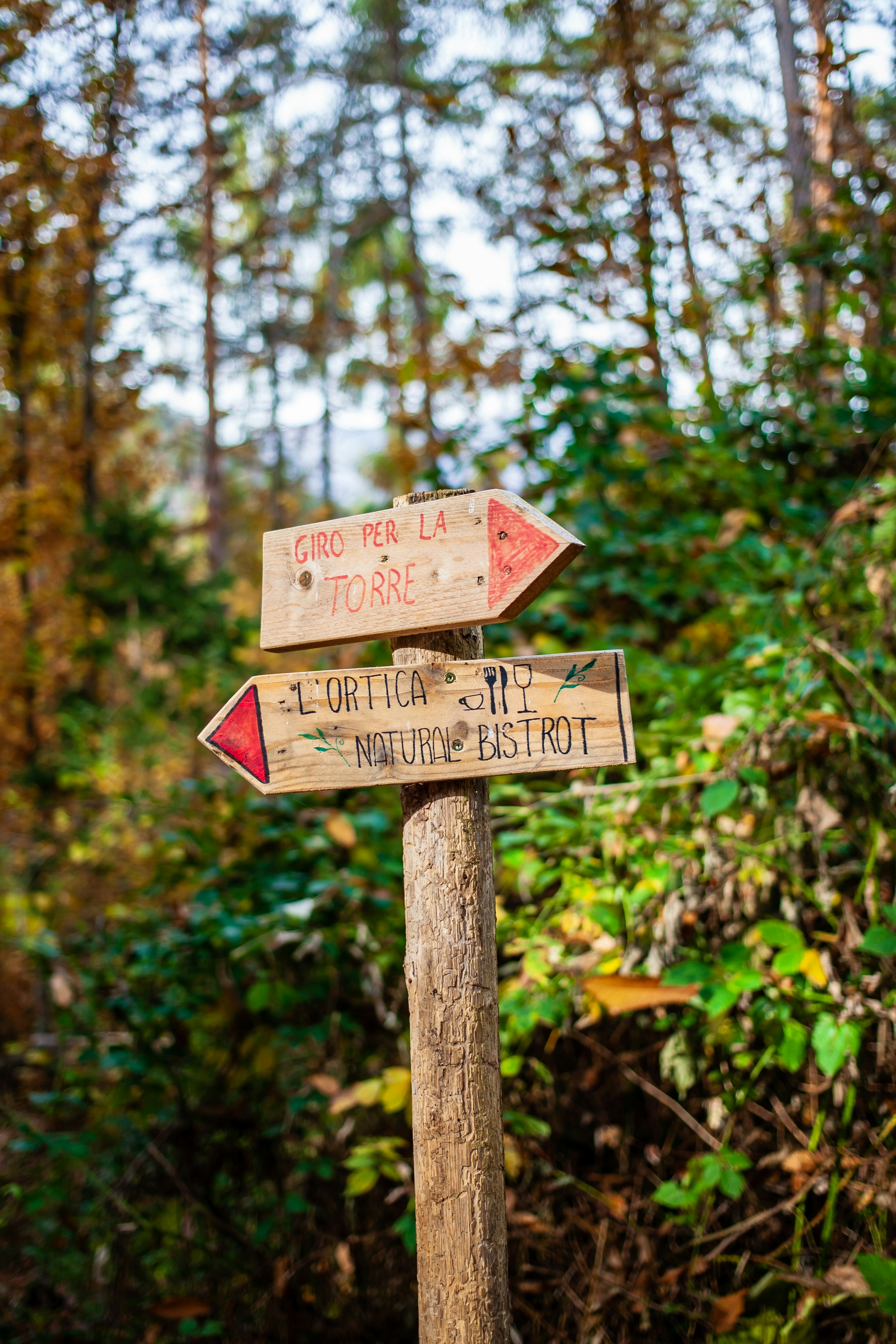 Photo by photoroutes