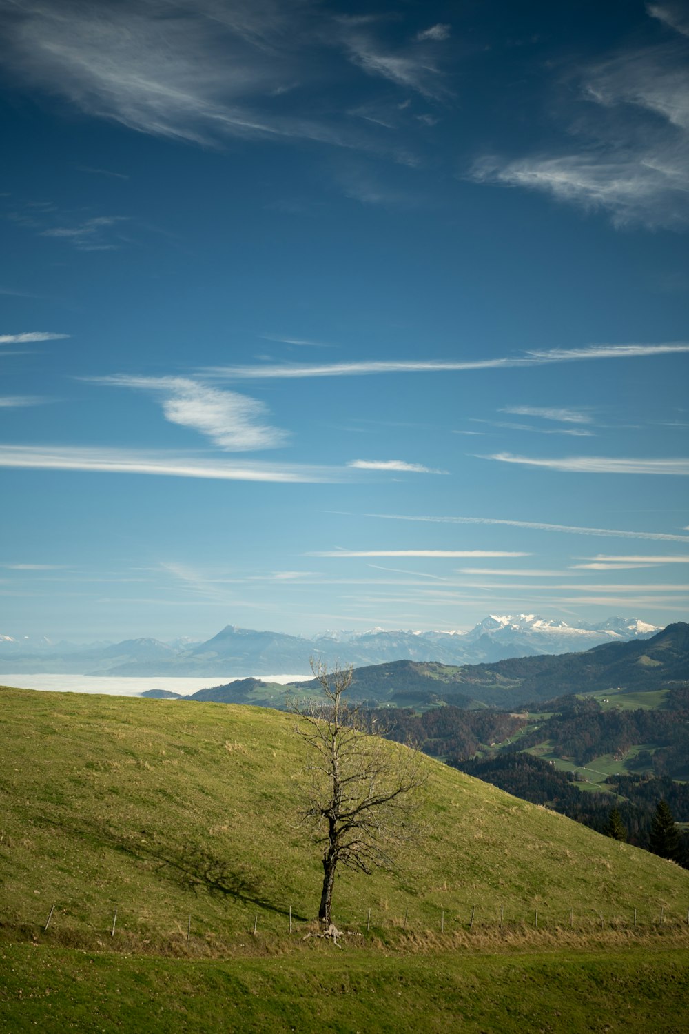campo de hierba verde y montañas bajo el cielo azul durante el día