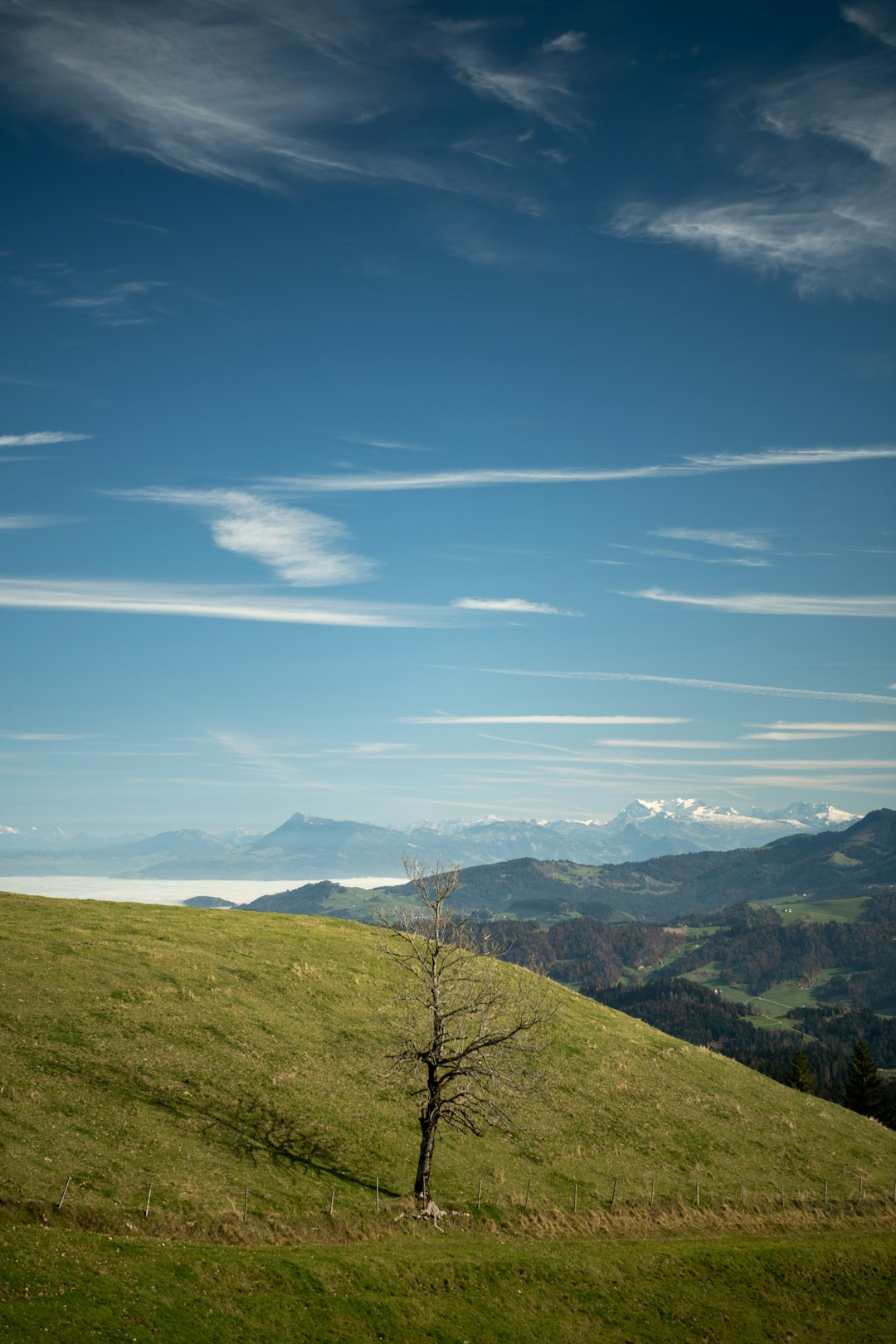 green grass field and mountains under blue sky during daytime