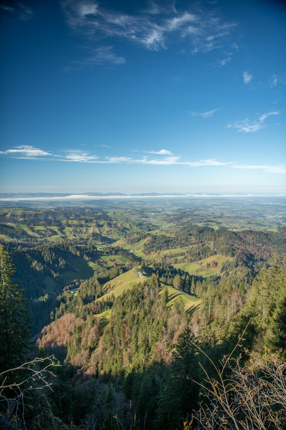 green trees and mountains under blue sky during daytime