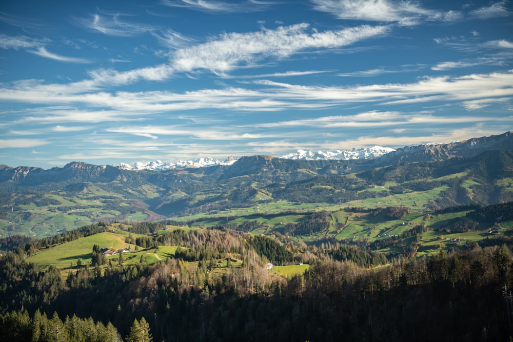 árboles verdes en la montaña bajo el cielo azul durante el día