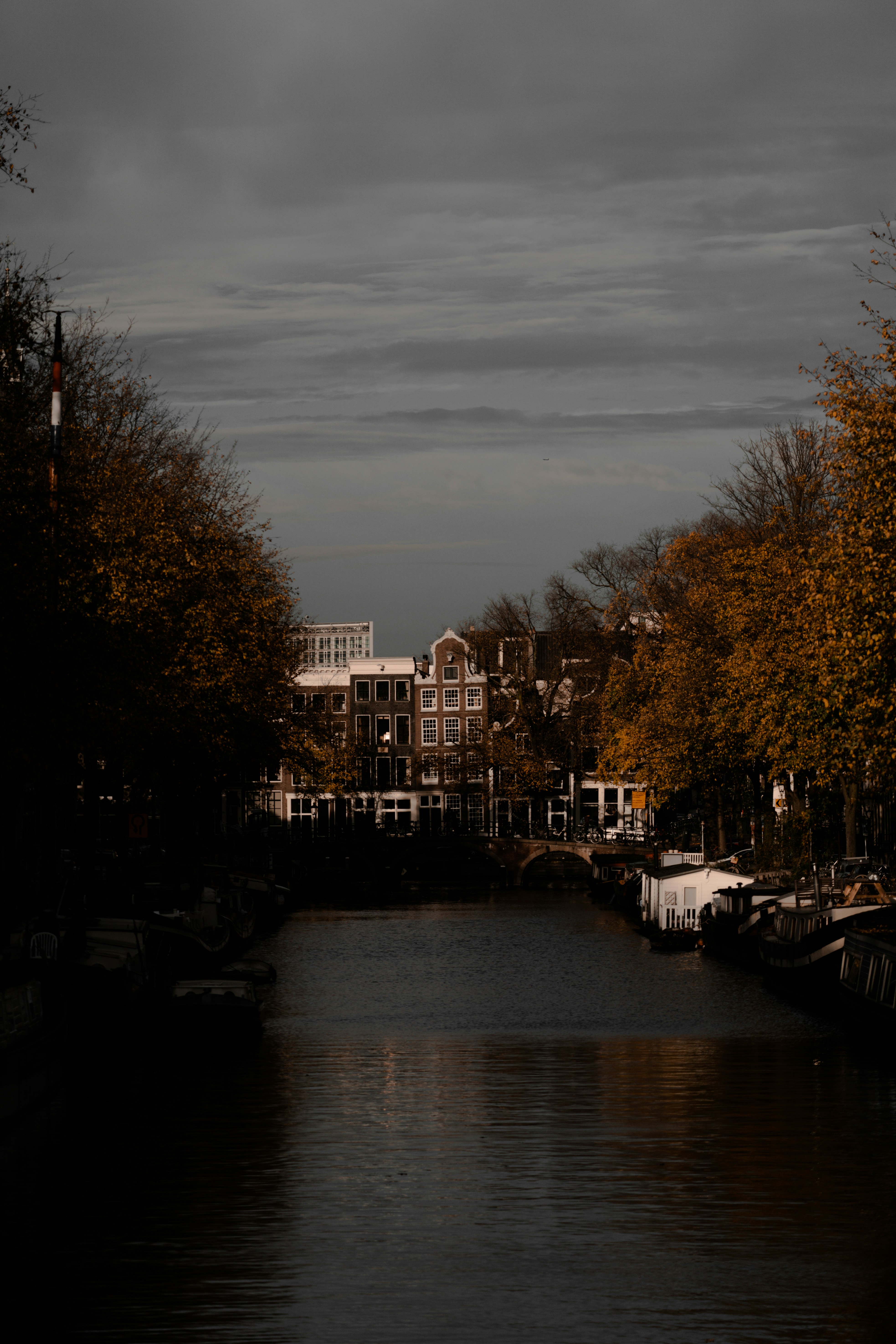 Photo by mitchelanneveldt