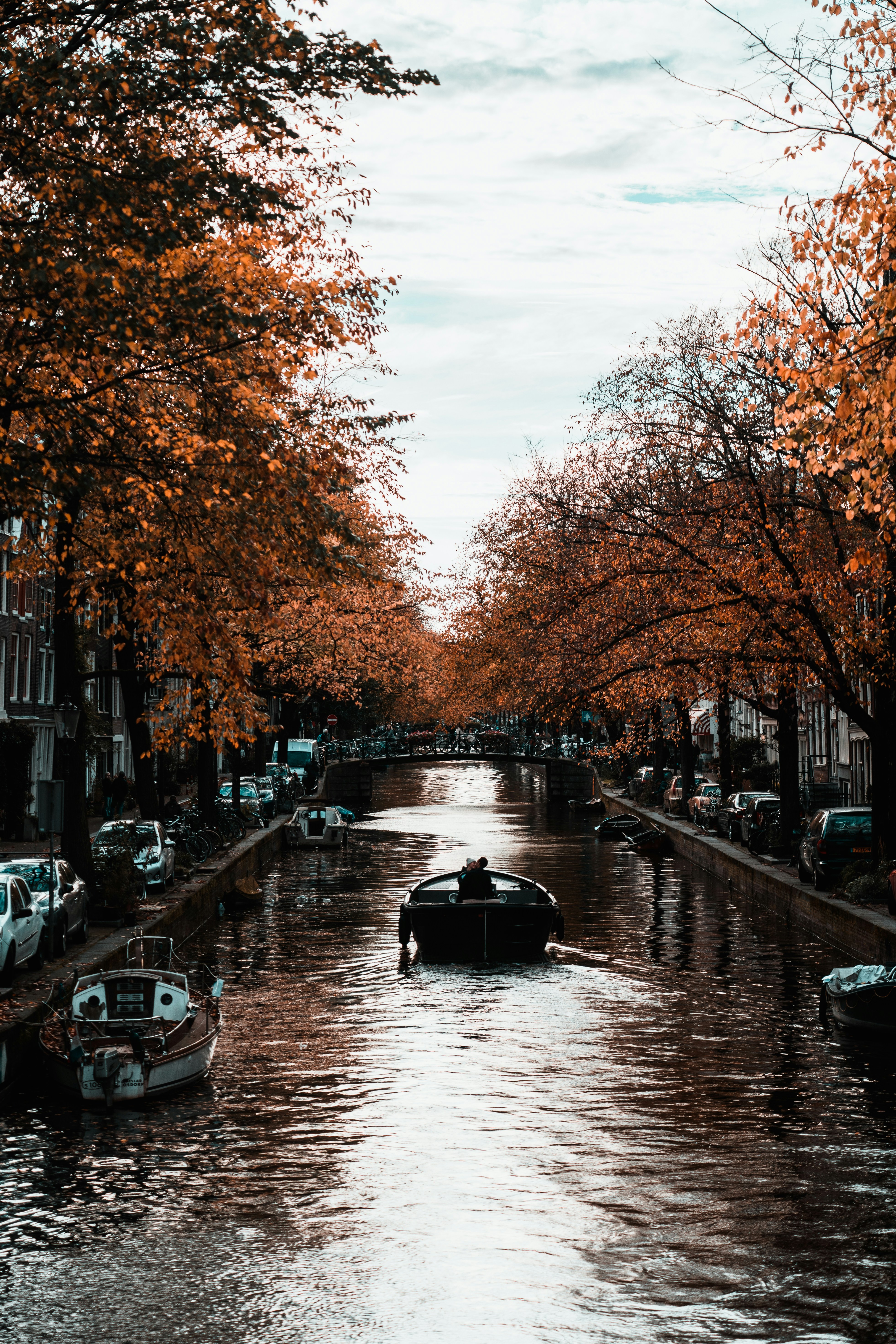 Photo by mitchelanneveldt