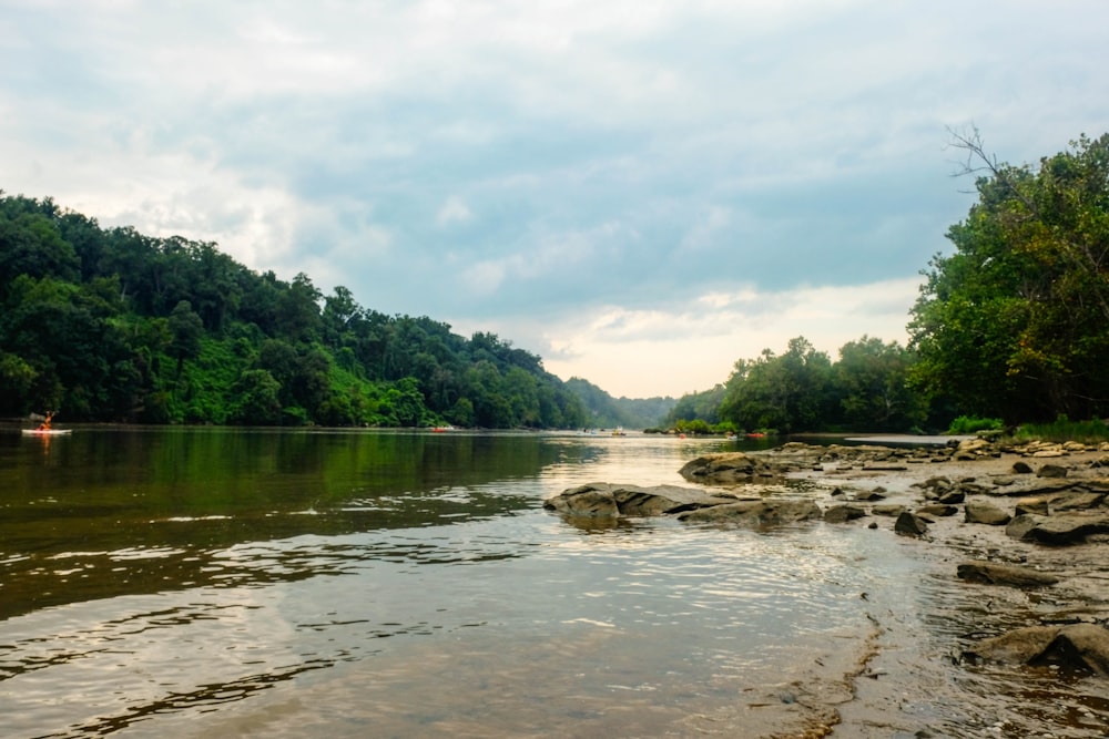 green trees beside river under white clouds during daytime