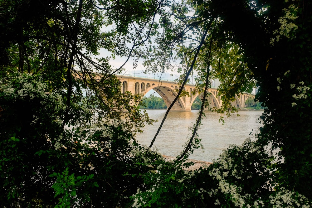 people walking on river near bridge during daytime