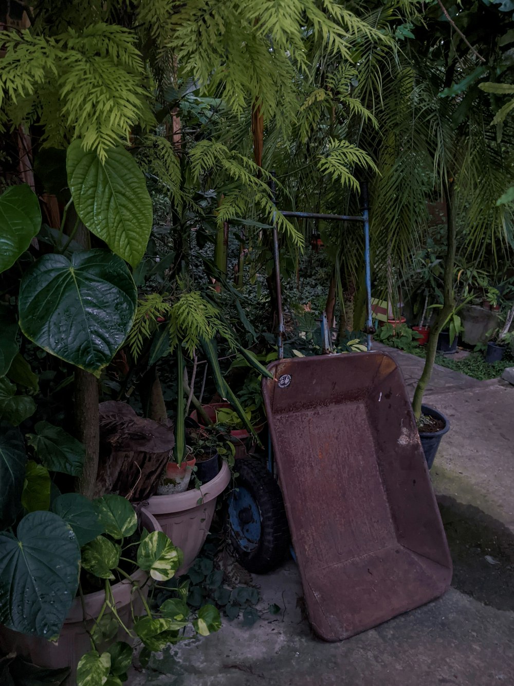 green potted plant beside brown wooden box