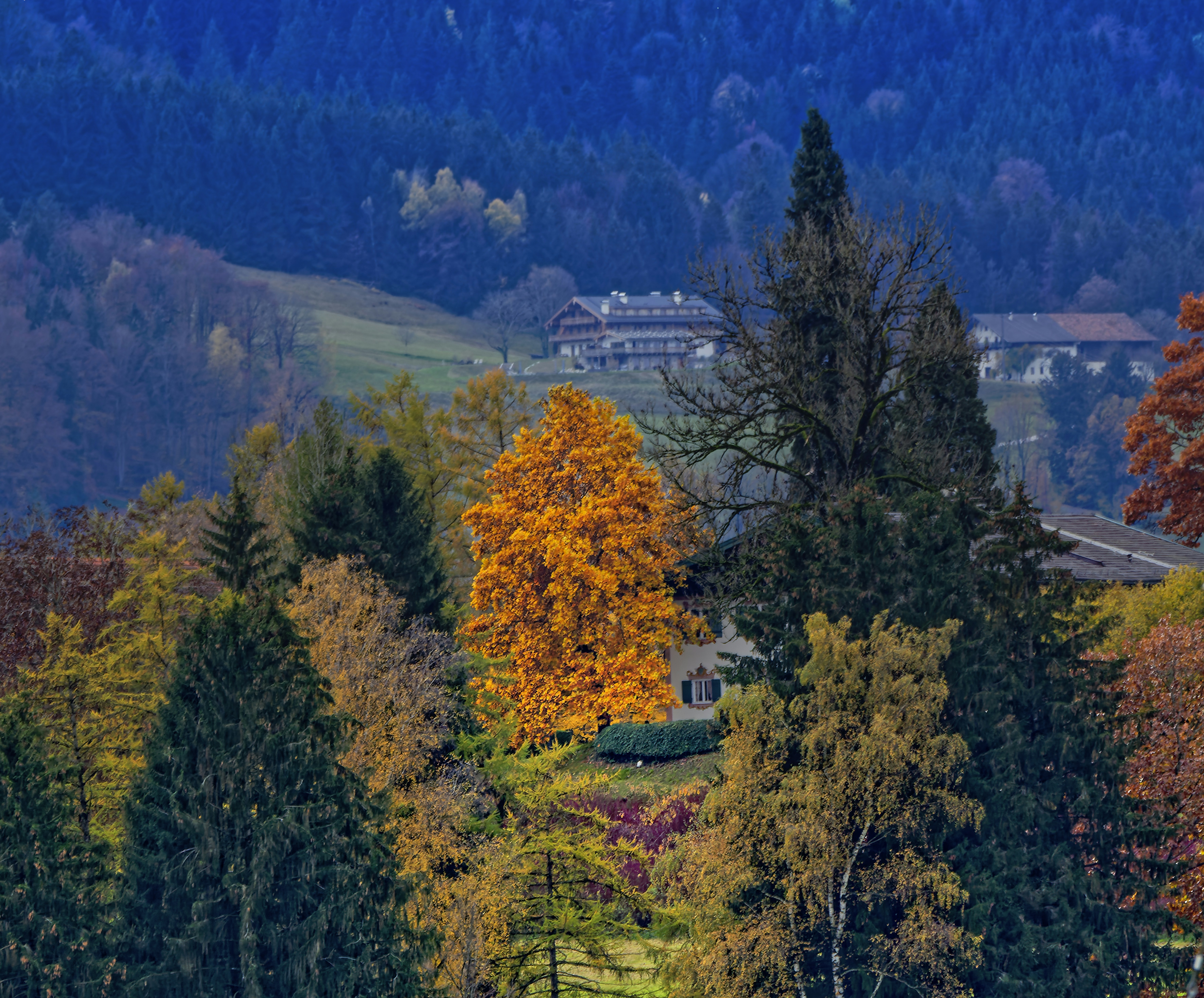 Image by John Apps via Unsplash