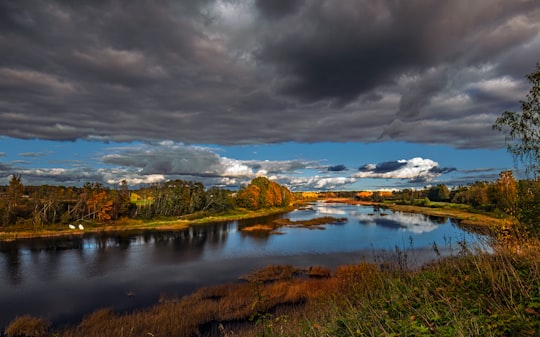 green grass field near lake under cloudy sky during daytime in Tori Estonia