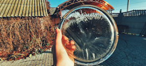 A hand is holding a round, translucent disc of ice in an outdoor setting. In the background, there is a structure with a corrugated iron roof, some dried vines and a paved area. The ice disc exhibits unique patterns formed by freezing.
