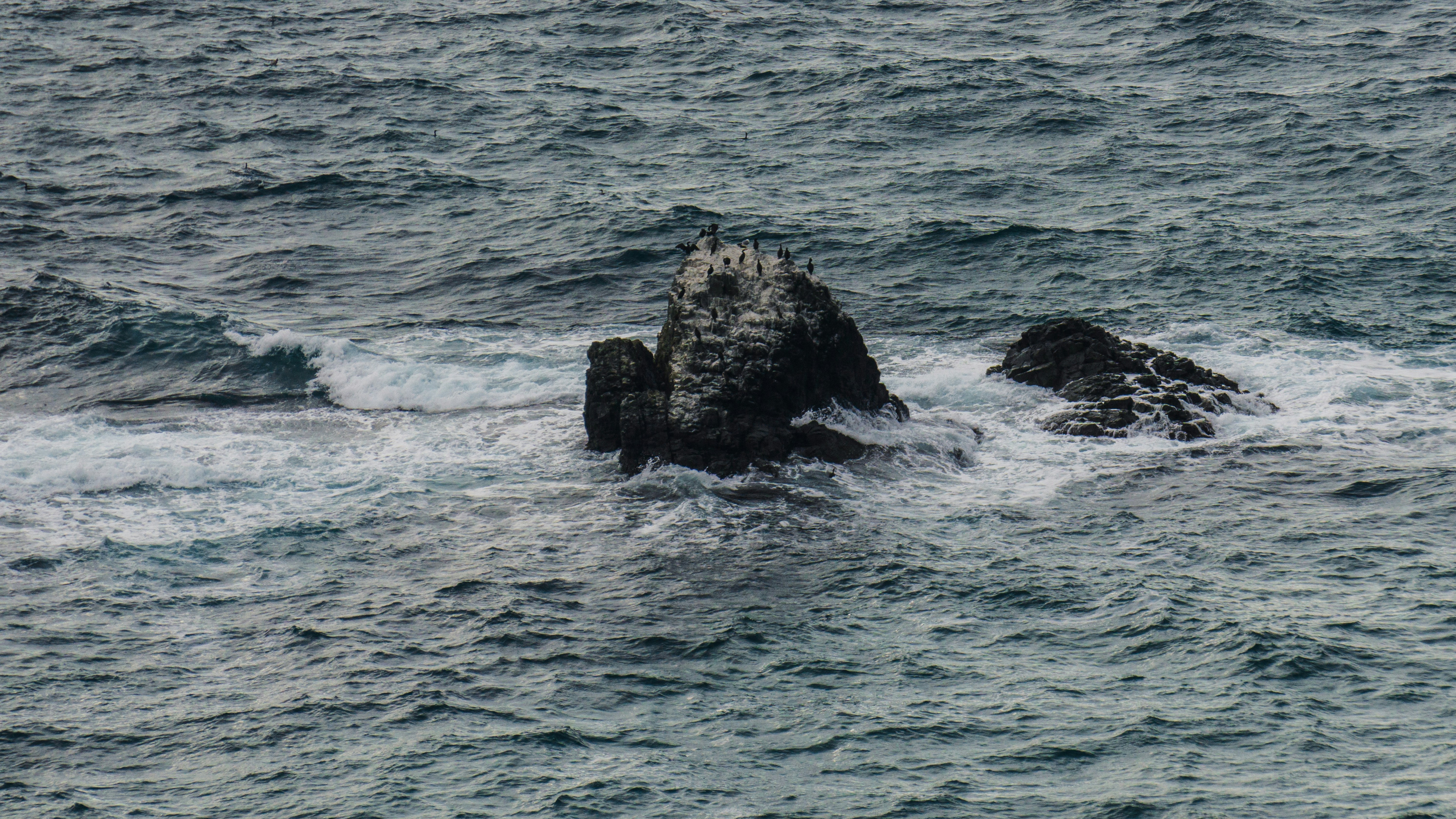 Photo by anainsomnia