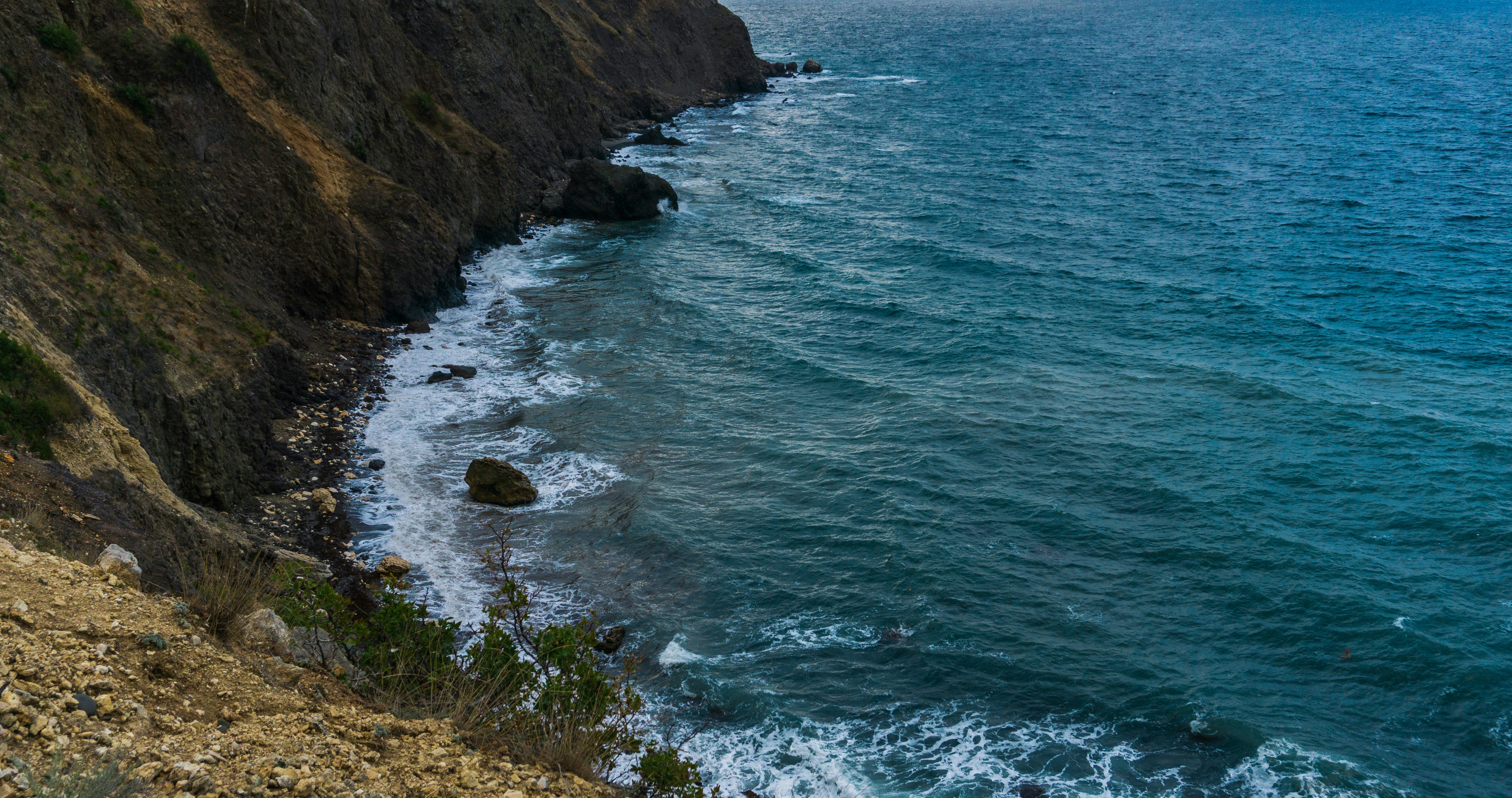 green grass on brown rocky shore near body of water during daytime