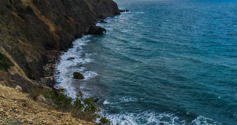 green grass on brown rocky shore near body of water during daytime