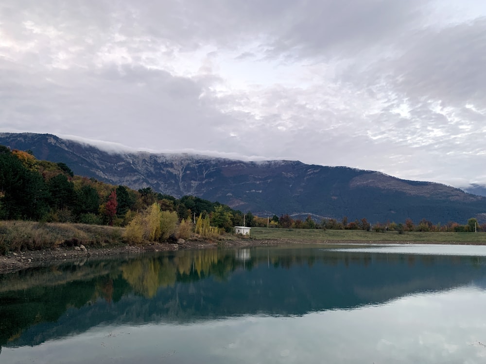 green trees near lake under white clouds during daytime