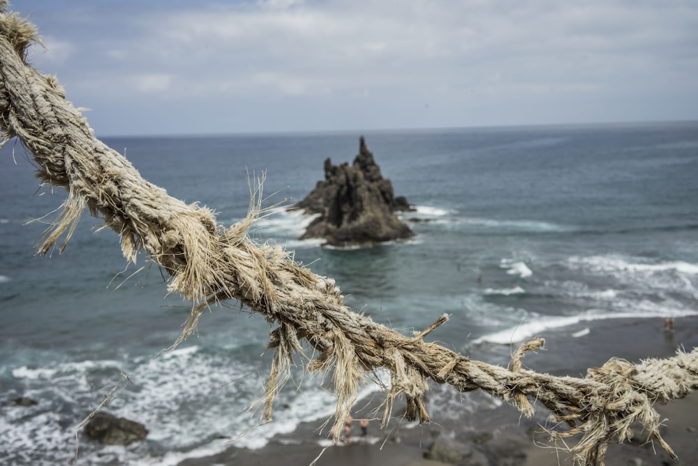 brown rope on beach during daytime