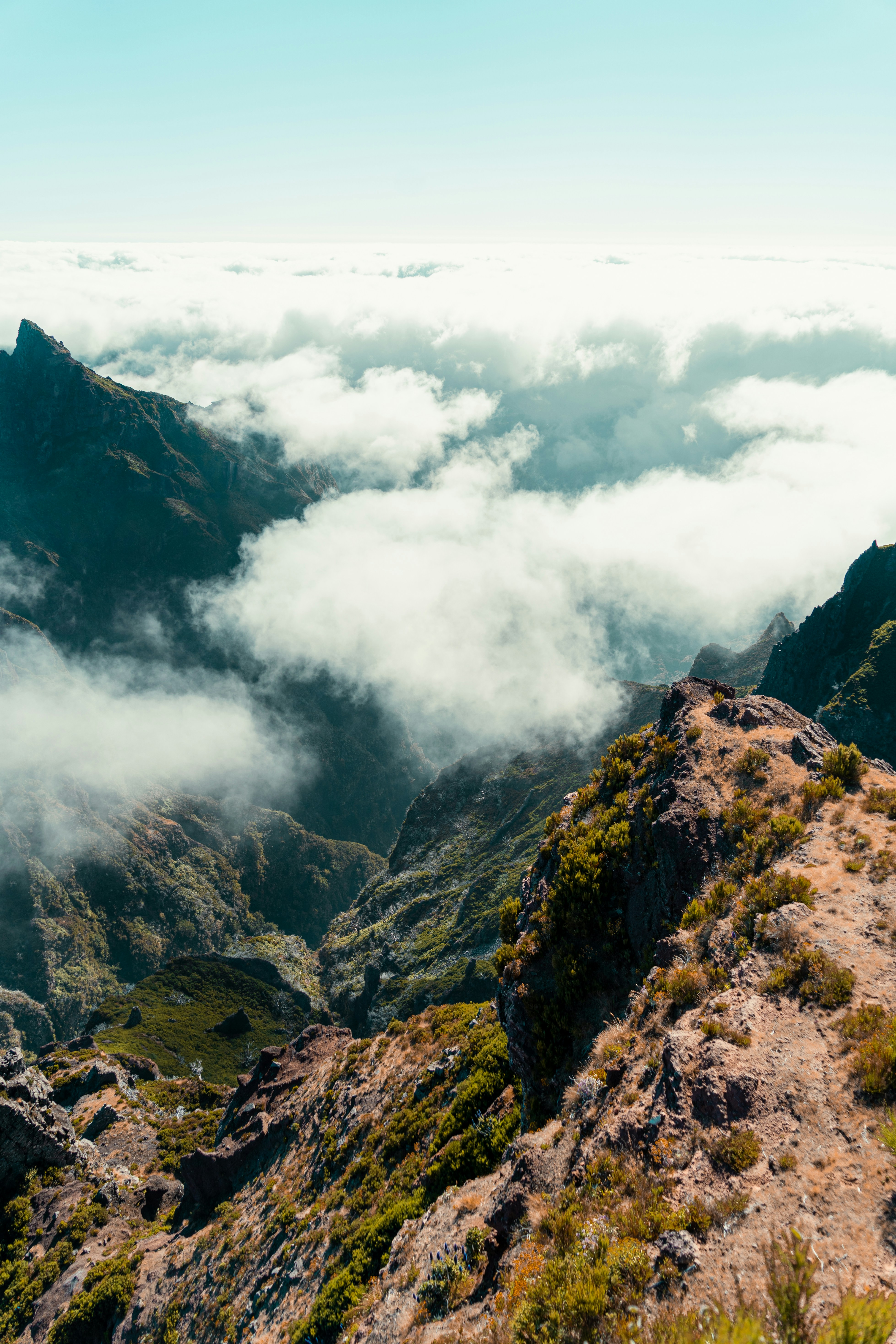 Photo by fabiannavarro