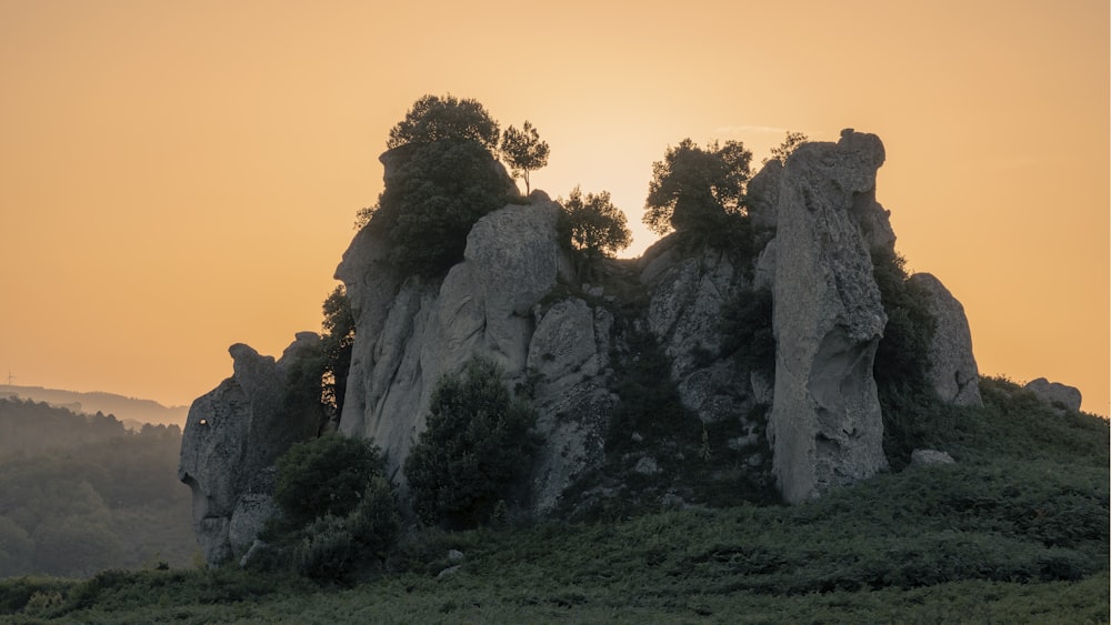 gray rock formation near green trees during daytime