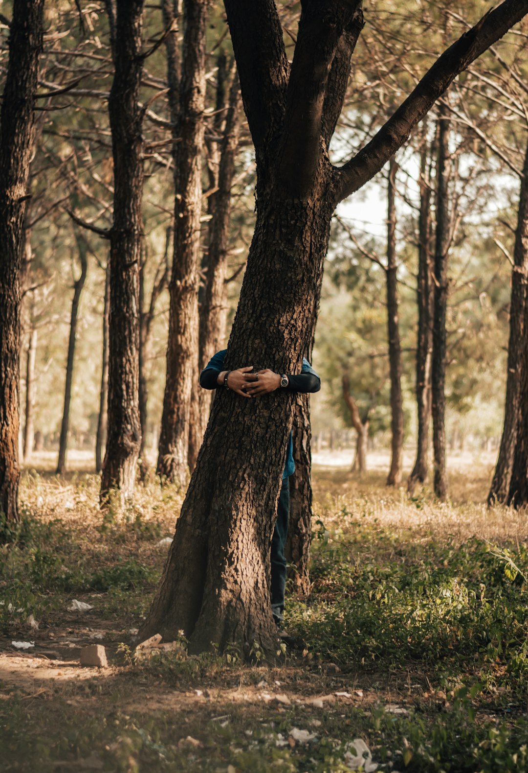 Alone In The Forest Pictures | Download Free Images on Unsplash