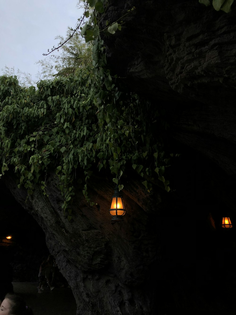 green trees near brown rock formation during daytime