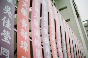 Photo 1604257601296 65d349c74773?q=85&w=340&h=340&fit=crop