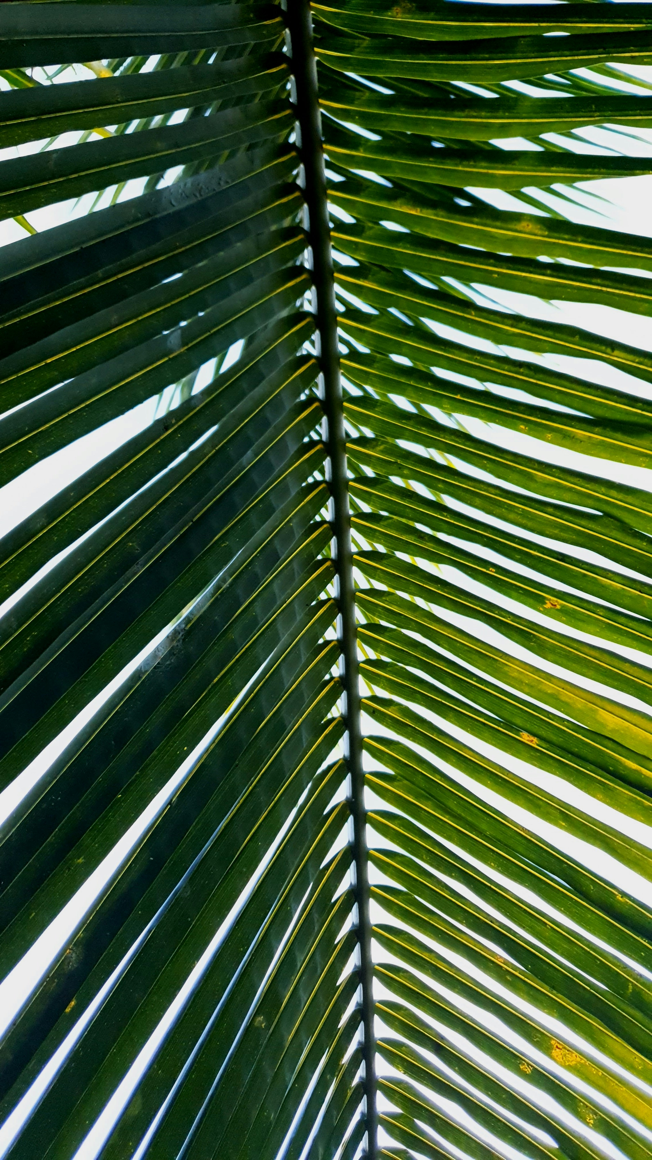 Photo by dalya_barker