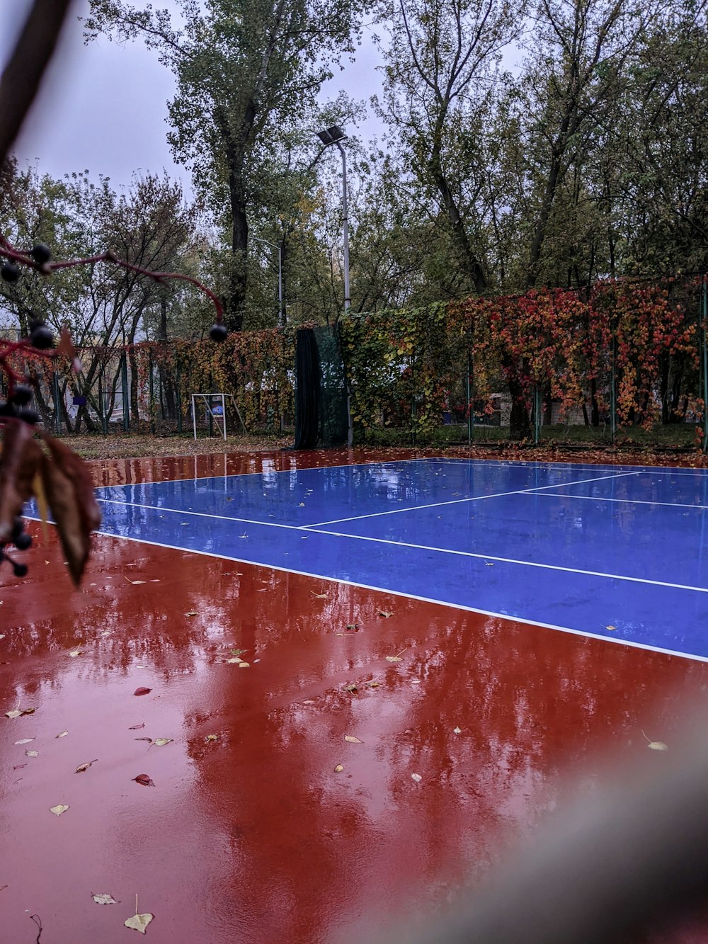 people on basketball court during daytime