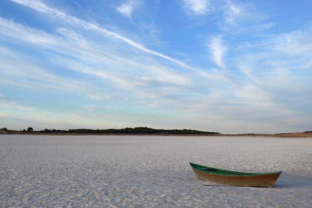 green boat on sea shore during daytime