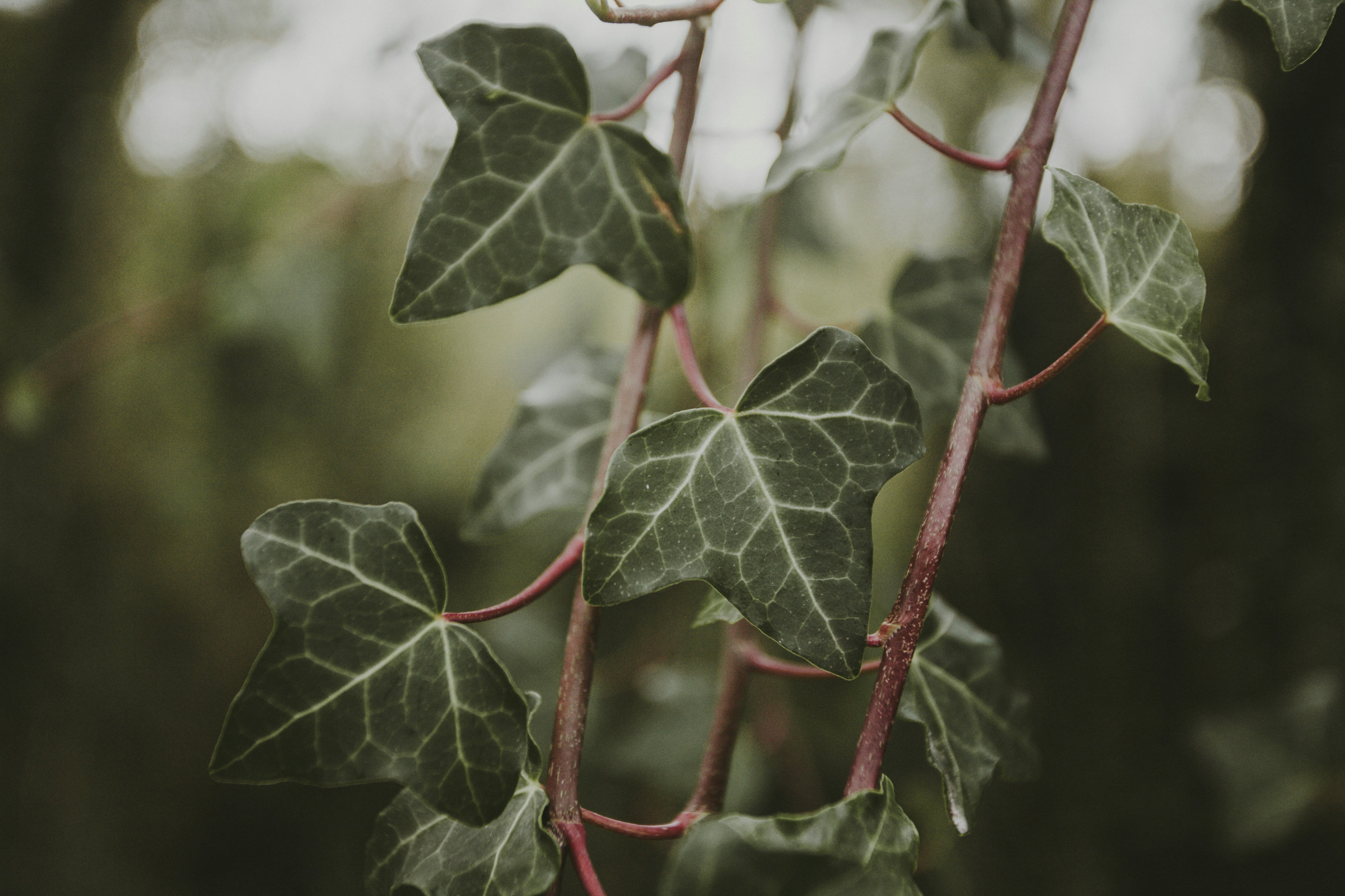 Photo by landedition