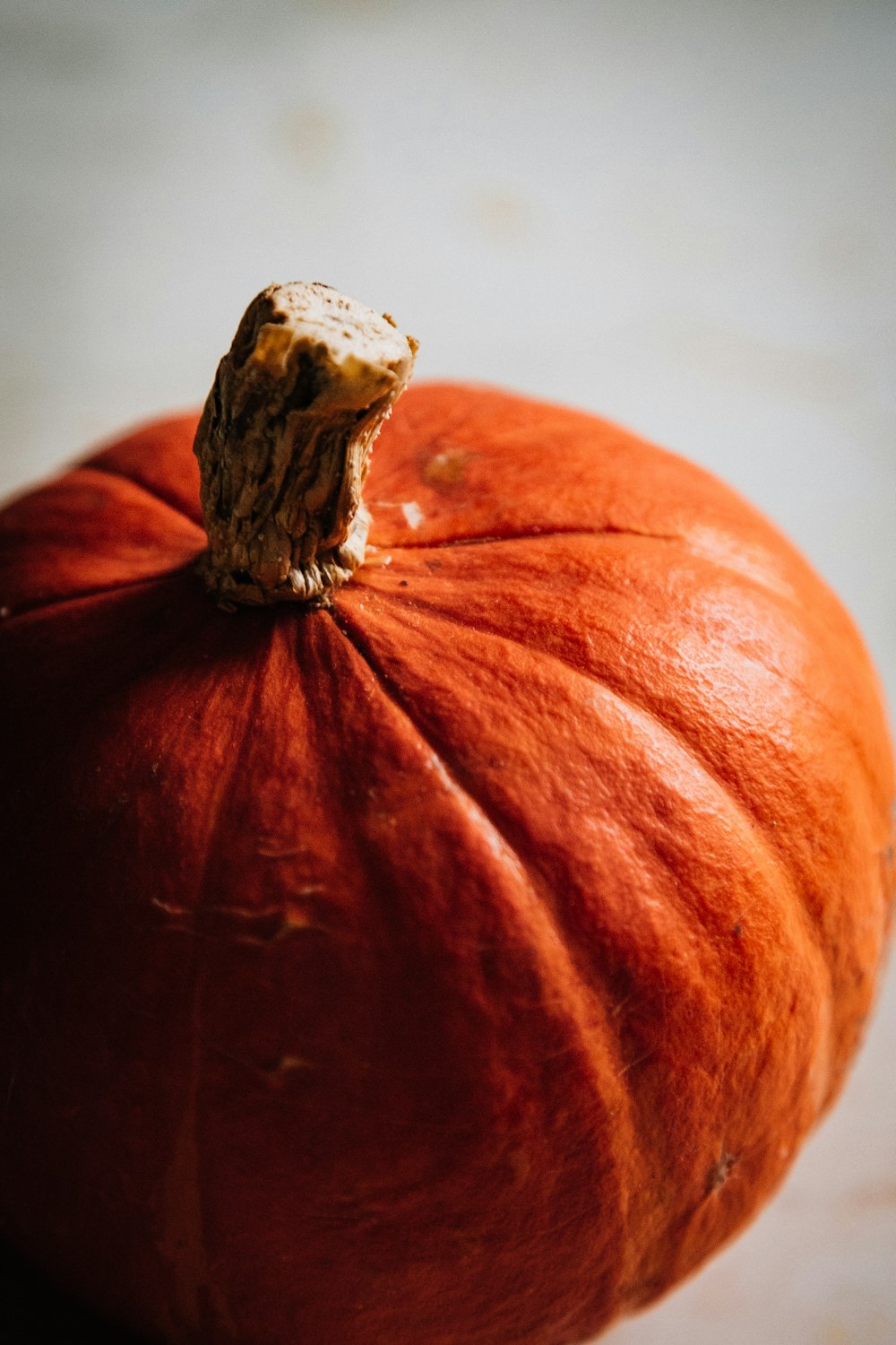 orange pumpkin on white table