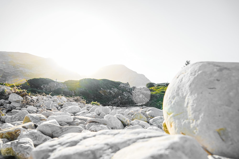 person standing on rocky shore during daytime