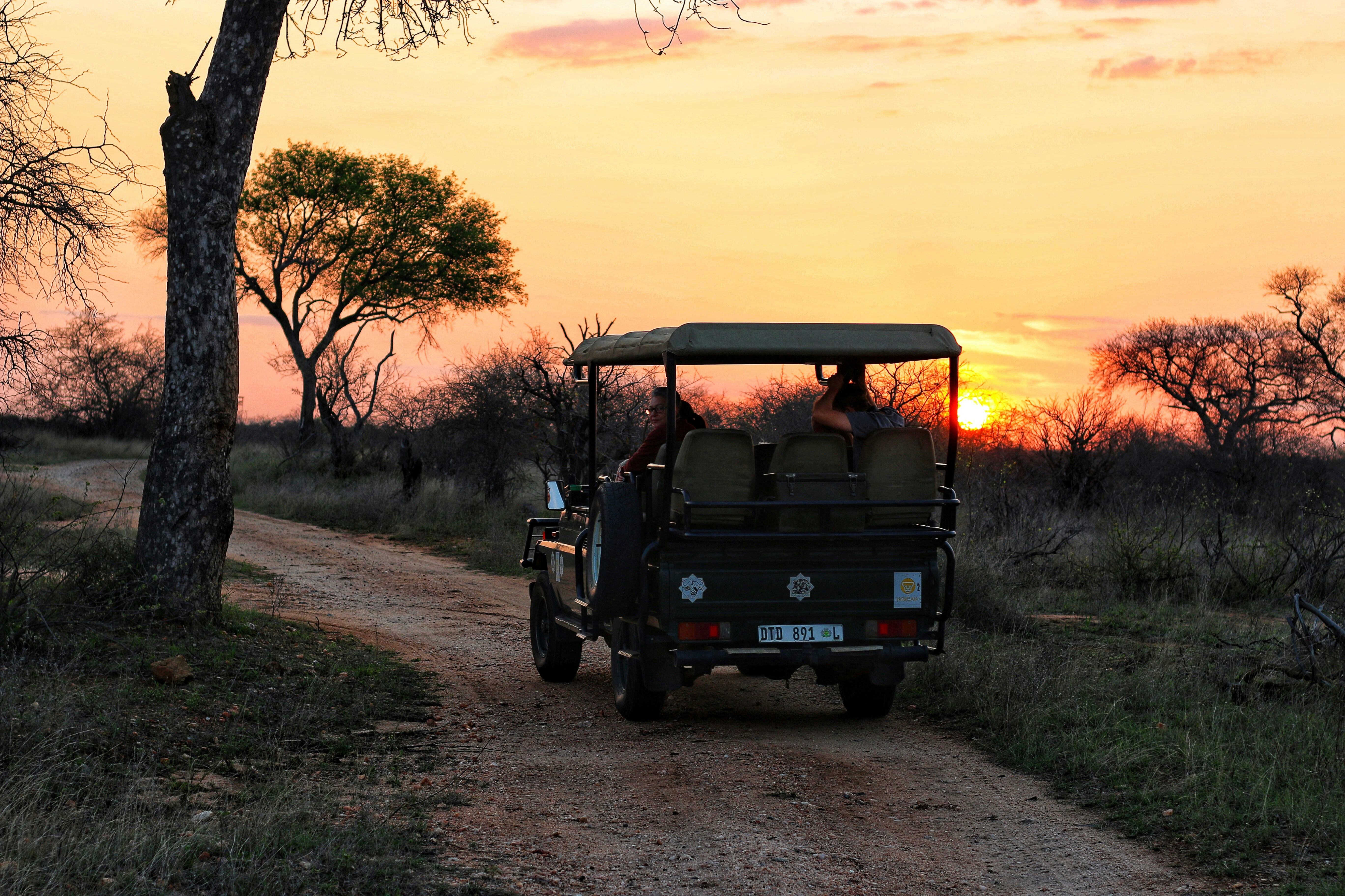 SELOUS PARCO NAZIONALE 1 GIORNO