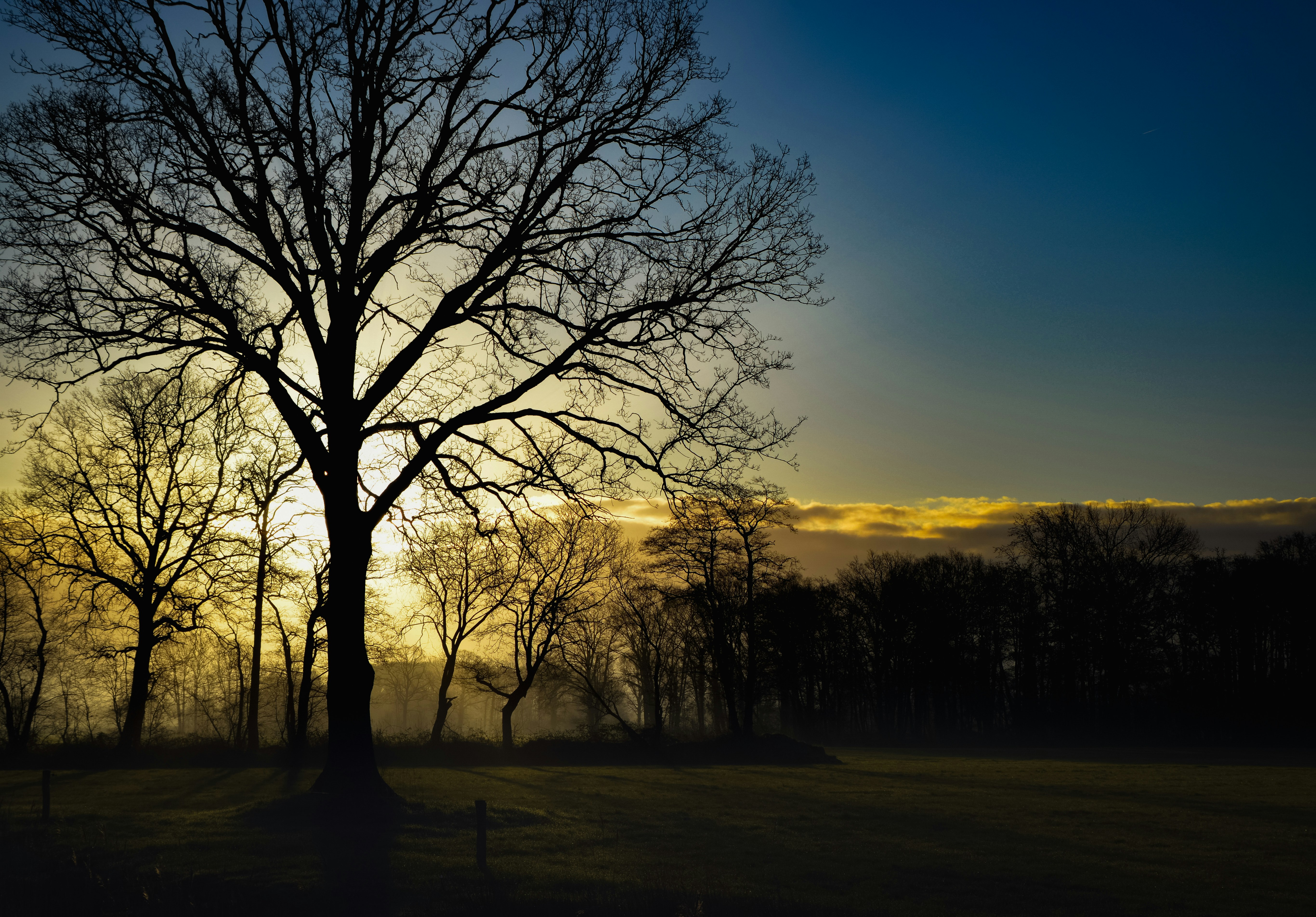 Photo by erikvandijk