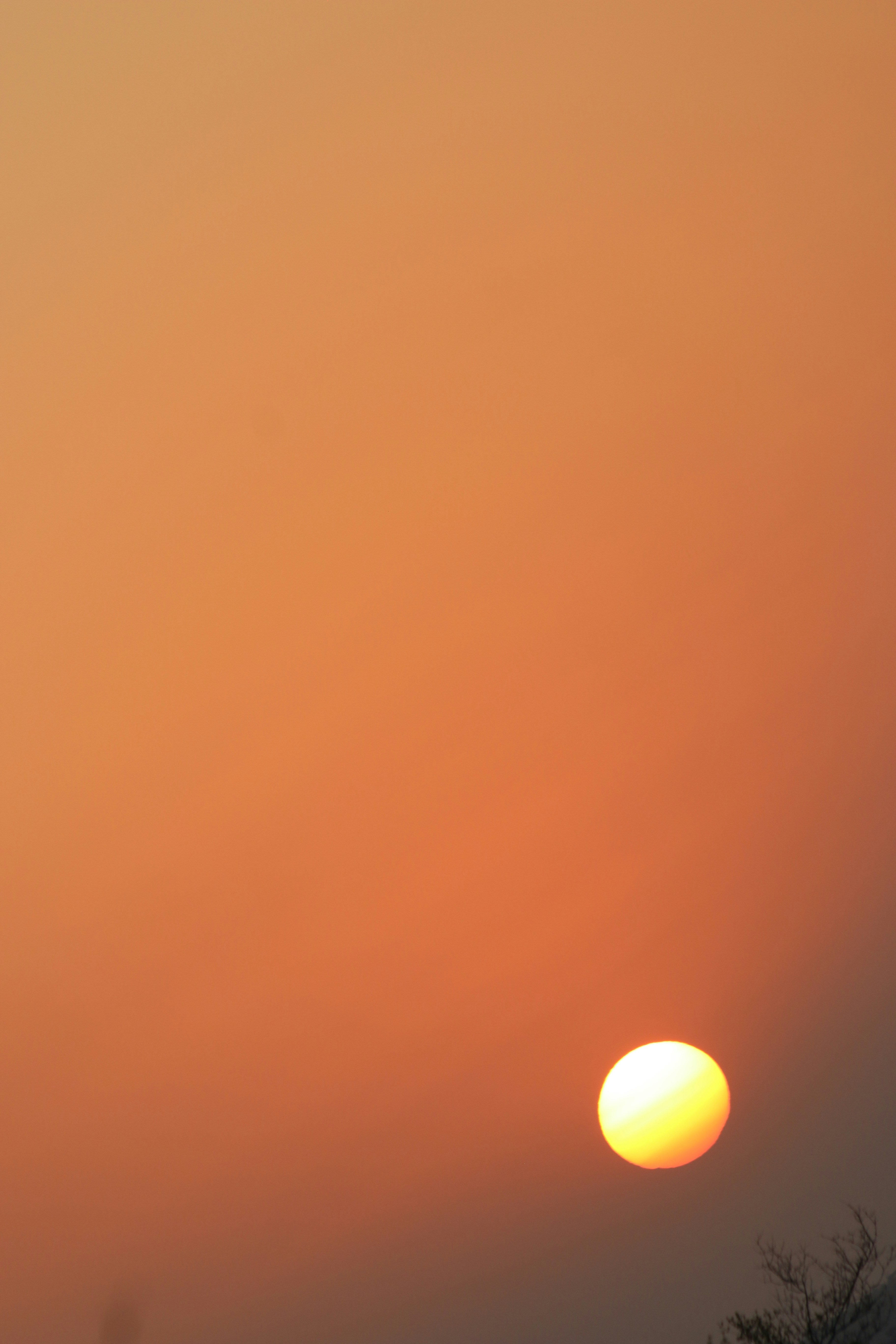 photo-1604261016443-dad808b2d4cc?ixid=M3wxMjA3fDB8MXxzZWFyY2h8MTF8fGhpZ2hzdGFrZXNwb2tlcnxlbnwwfHx8fDE3NDk0MTA2MDR8MA\u0026ixlib=rb-4.1.0