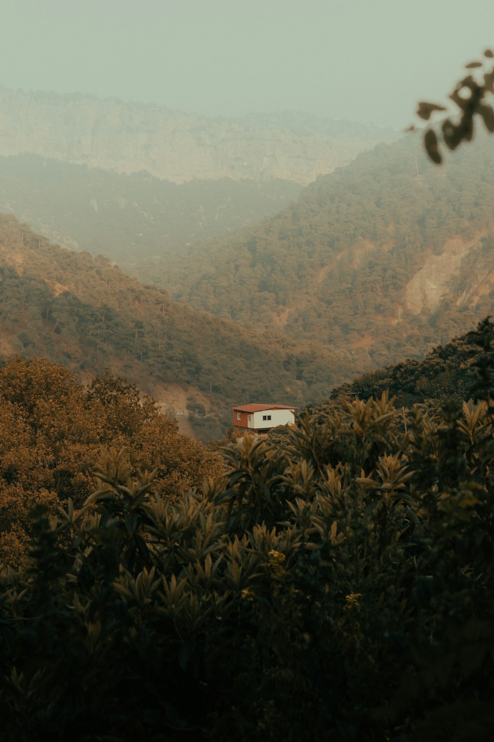 white and red house on top of mountain