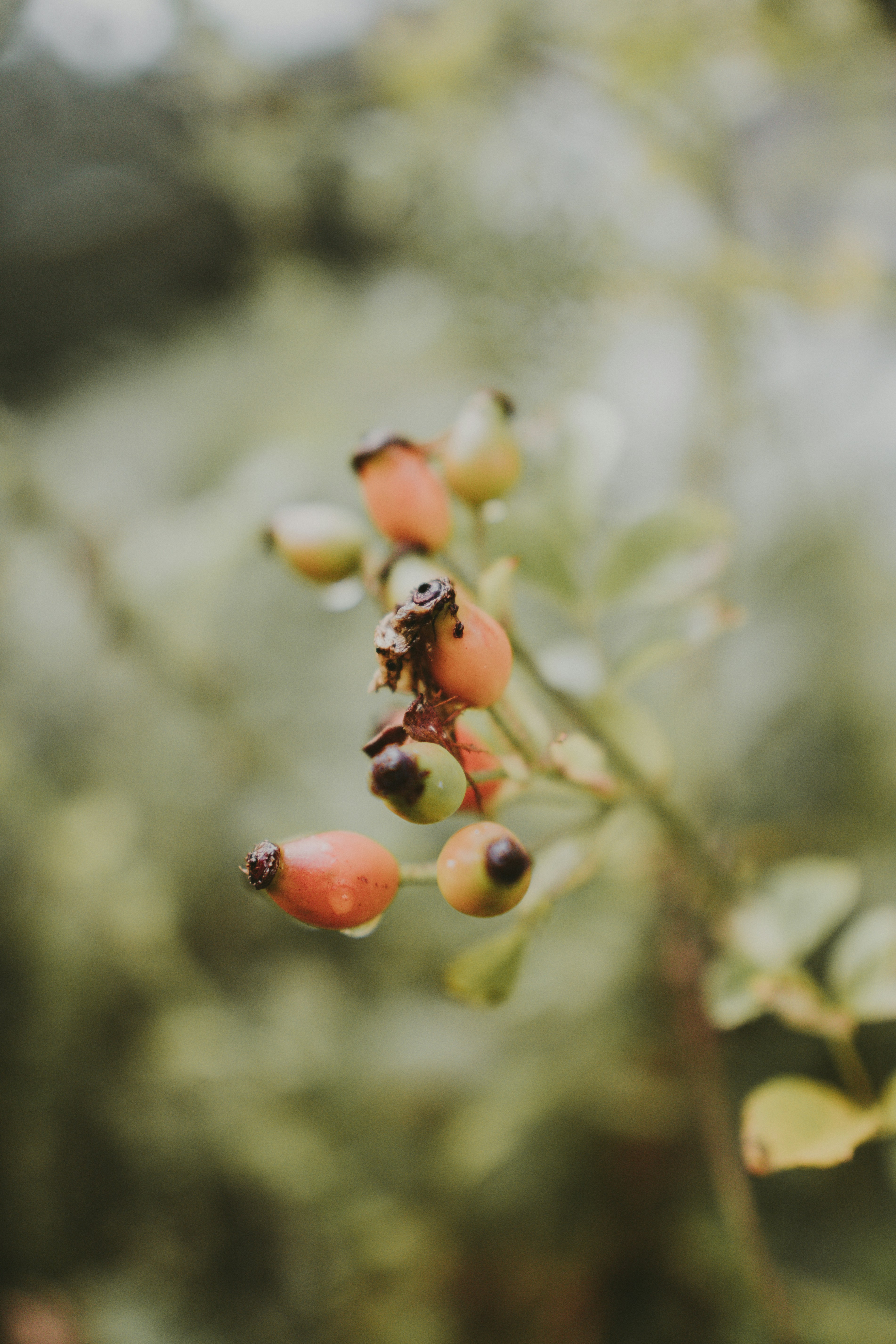 Photo by landedition