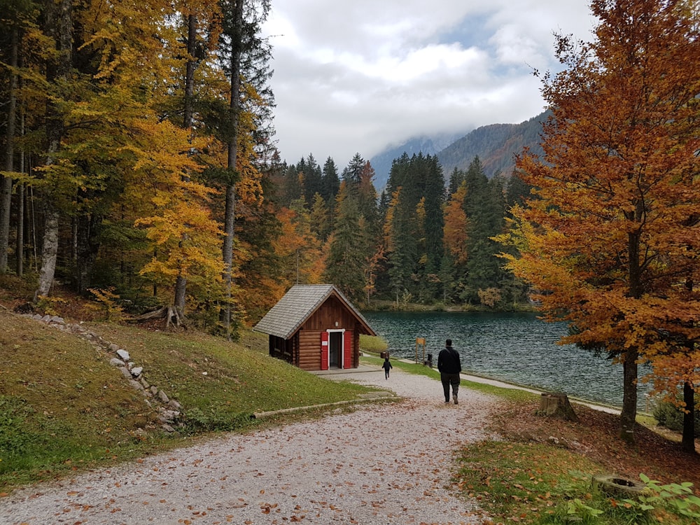 personne en veste noire marchant sur le sentier près d’une maison en bois brun entourée d’arbres verts pendant